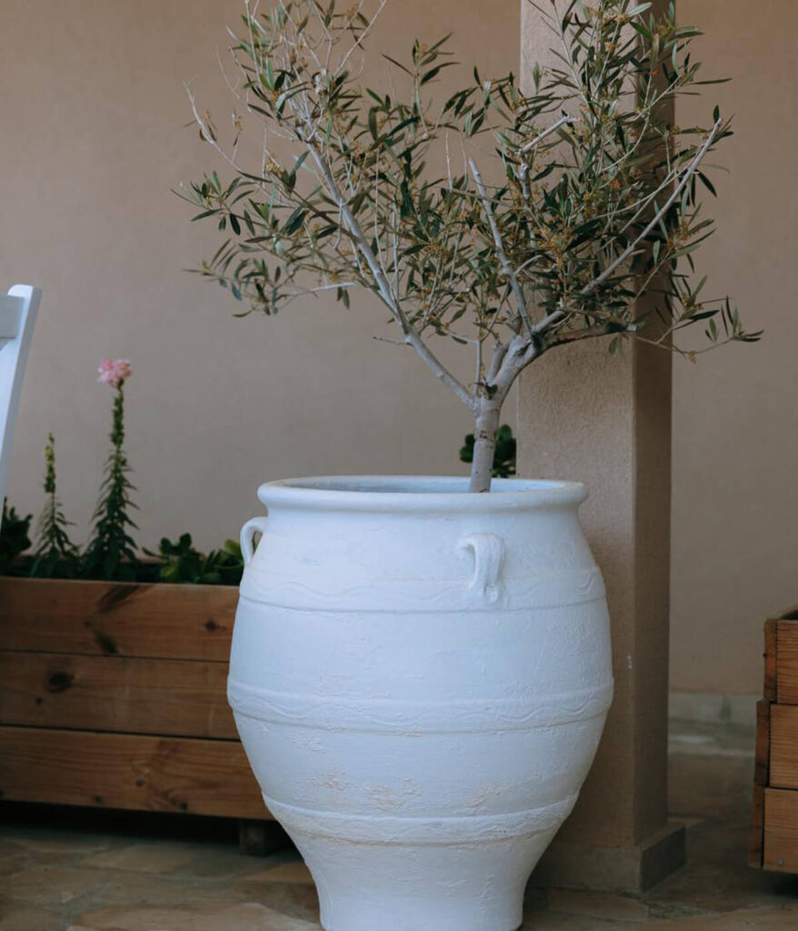 alatsi pool bar restaurant about us 02b